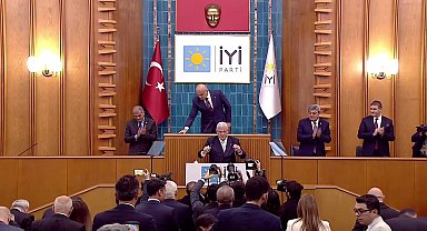 Dervişoğlu'ndan sokak hayvanlarını ''uyutma'' tasarısına tepki: 