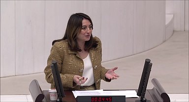 Dışişleri Teşkilatını Güçlendirme Vakfı'na Bankoğlu ve Çakırözer'den tepki: