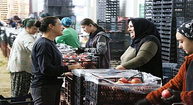 Efes Selçuk Belediye Başkanı Sengel: "Bölgemizin tarım ekonomisinin bel kemiği olan Deppo Efes ile gurur duyuyoruz"