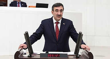 Ekonomi Koordinasyon Kurulu: 