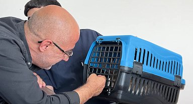 Esenyurt Belediyesi, hamile kedinin hayatını kurtardı