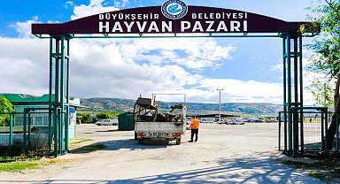Eskişehir Büyükşehir Belediyesi’ne kurbanlık satış başvuruları başlıyor