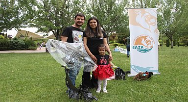Eskişehir’de uçurtmalarla göçmen kuşlara dikkati çektiler 