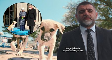 Genç Partili Burçin Şahindur: “Ülkede başıboş köpek değil, krizi bilinçli büyüten iktidar sorunu var”