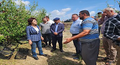 Gülcan Kış’tan hükümete çağrı: Afetten zarar gören Tarsuslu çiftçilerin zararı bir an önce karşılansın