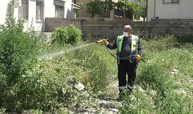 Hatay Büyükşehir, temizlik ve ilaçlama çalışmalarını sürdürüyor