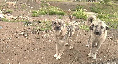 HAYTAP Ankara Temsilcisi Sayılgan: 