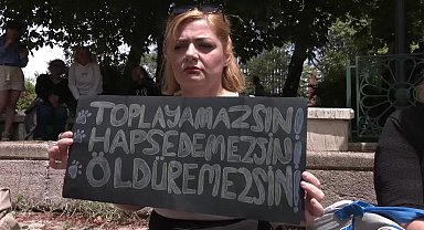 Hayvanseverlerden TBMM önünden tepki...