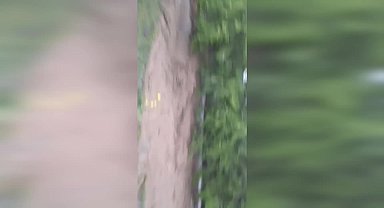 Iğdır'da dolu yağışı etkili oldu