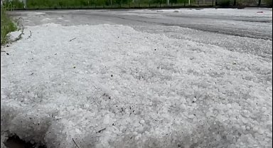 Iğdır’da dolu yağışının ardından Tarım ve Orman İl Müdürlüğü ekipleri zarar tespit çalışmaları yapıyor