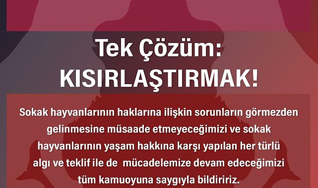İstanbul Barosu Hayvan Hakları Merkezi: ''Canlarımızı öldürmeyi çözüm olarak sunanların karşısındayız, tek çözüm kısırlaştırmak''