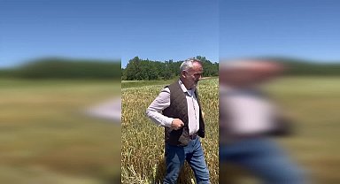 İYİ Parti Edirne Milletvekili Akalın: "Buğdayda yüzde 20'ye varan pas hastalığı var"