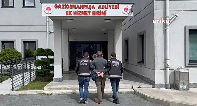 Kaçakçılık polisinin "zehir" operasyonunda gözaltına alınan Amerikalı küratör ülkesine döndü