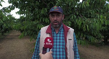 Kemalpaşa Ziraat Odası Başkanı Bülent Oray: Bu sene 70, 80 liranın altında kiraz satılırsa üretici bu işin altından kalkamaz