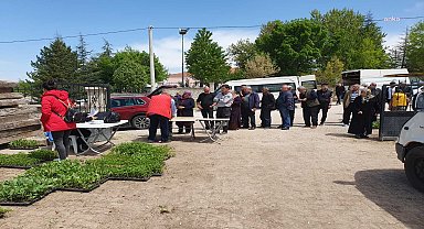 Kırşehir'de geri dönüşüm malzemesi getiren vatandaşlara fideleri verilecek