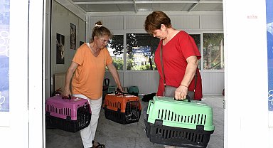 Kuşadası'ndaki Kedi Kısırlaştırma Merkezi, ilçe sakinlerinden tam not aldı