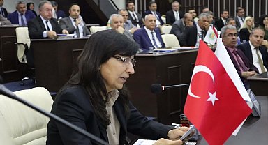 Malatya Büyükşehir Belediye Meclisi'nin CHP'li üyesi Tabel: "Malatya'da rezerv alanları ile ilgili belirsizlikler var"