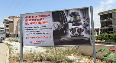 Menderes Belediyesi’nden sokak hayvanlarının uyutulması önerisine tepki: “Bu plana ortak olma”   