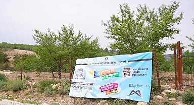 Mersin Büyükşehir Belediyesi, 'organik tarım' projesiyle üreticiye destek oluyor