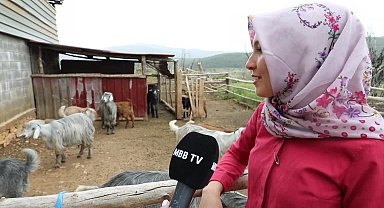 Muğla Büyükşehir Belediyesi’nin “Kıl Keçisi” projesiyle kadın üreticiler kazanıyor 