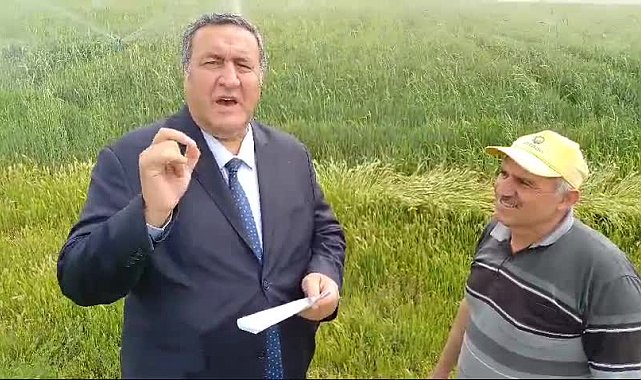 Ömer Fethi Gürer’e dert yanan çiftçi: “Buğday için 15 TL'nin altında verilecek taban fiyatı bizi kurtarmaz