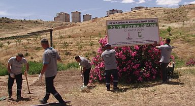 Peyzaj mimarlarından Karşıyaka'ya hatıra ormanı