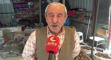 Sinop'ta ceviz satışı yapan Şahin: "Geçinebilsem 75 yaşındaki kişi buraya kadar gelip bekler mi?"