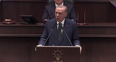 Sokak hayvanlarının 