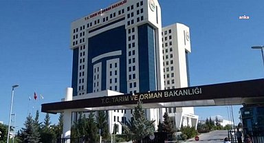 Tarım ve Orman Bakanlığı yaş çay alım fiyatını belirledi