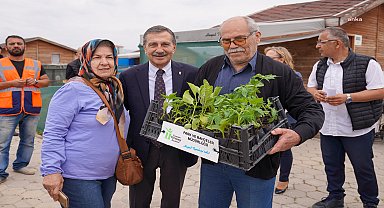 Tepebaşı Belediyesi'nin Gönüllü Bahçeleri'nde fide dağıtımı