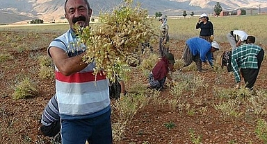 TKP'den DEM Parti'ye geçen Tunceli Belediyesi'nin borcunun 230 milyon lira olduğu açıklandı