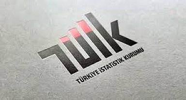 TÜİK: "Mesleki bilimsel ve teknik hizmetler yüzde 0,5 azaldı"