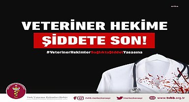 Türk Veteriner Hekimleri Birliği: "3 meslektaşımız görevi sırasında saldırıya uğramış ve darp edilmiştir"