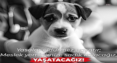 Türk Veteriner Hekimleri Birliği'nden Hayvanları Koruma Kanunu açıklaması: