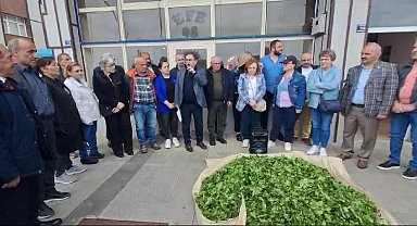 Yaş çay fiyatına üreticilerin tepkisinin ardından CHP'den de tepki...