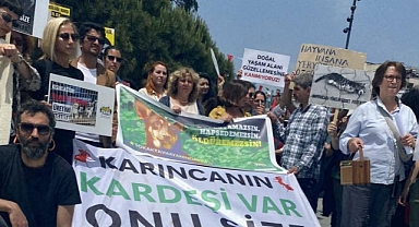 Yaşam İçin Yasa İnisiyatifi: 