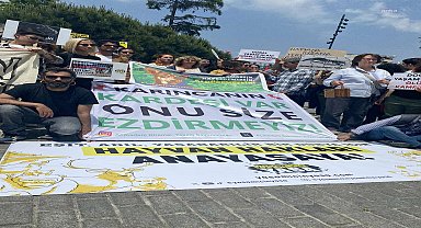 Yaşam İçin Yasa İnisiyatifi: ''Tek çözüm kısırlaştırmak, yerinde yaşatmak, üretim ve satışı yasaklamak''