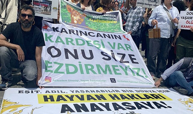 Yaşam İçin Yasa İnisiyatifi: ''Tek çözüm kısırlaştırmak, yerinde yaşatmak, üretim ve satışı yasaklamak''