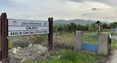 Yozgat Keklik Üretim İstasyonu'nda 17 yılda 208 bin keklik üretildi