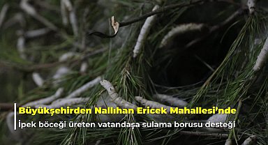Ankara Büyükşehir’den ipek böceği yetiştiricilerine sulama borusu desteği