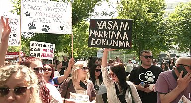 Ankara'da hayvanseverlerden sokak hayvanlarının ‘uyutulması’ teklifine protesto: 