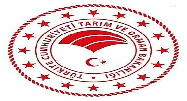 Ankara İl Tarım ve Orman Müdürlüğü'nden hastalıklı köpek açıklaması: 