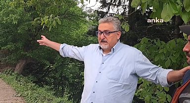 Artvin Şavşat'ta Sahara Milli Parkı'nda ağaç kesimine tepki: