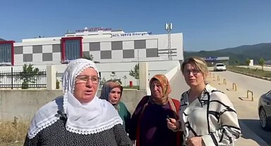 Asu Kaya: 