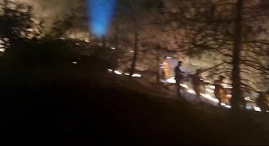 Aydın Kuyucak'taki orman yangınında 26 hektarlık alan zarar gördü