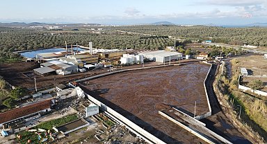 Ayvalık Belediyesi, Doğuş Pirina Fabrikası’na çevre izin ve lisans belgesinin iptali istemiyle açtığı davayı kazandı