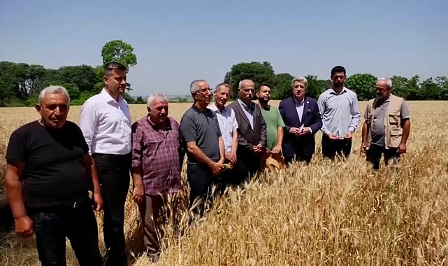 Bafralı çiftçi: