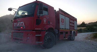 Balıkesir İtfaiyesi'nin hızlı müdahalesi ile orman yangını büyümeden söndürüldü
