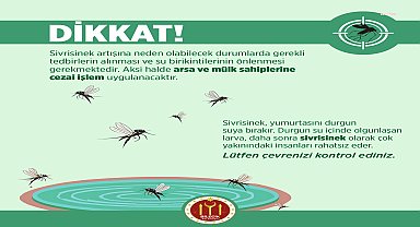 Bilecik Belediyesi'nden sivrisinekle mücadelede caydırıcı adım