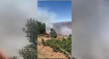 Bingöl’de orman yangınlarına ekiplerin müdahalesi sürüyor
